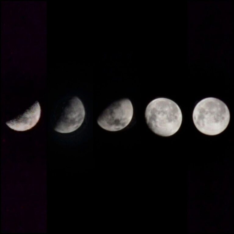 Lua nova em Peixes