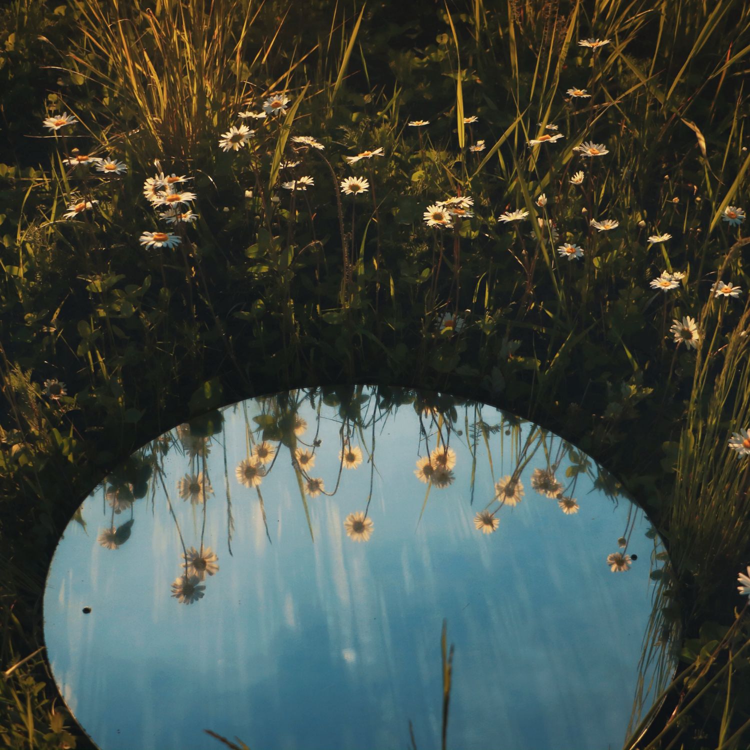 espelho refletindo o céu no chão no meio da natureza