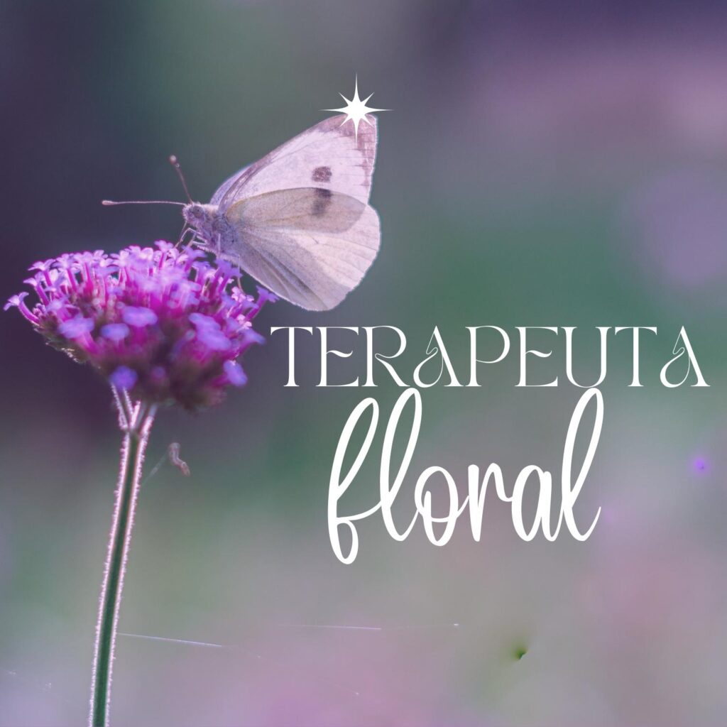 borboleta em cima da flor vervain