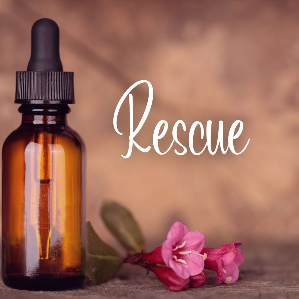 vidro de floral rescue com uma flor rosa do lado