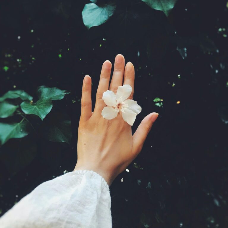 Como usar os Florais de Bach